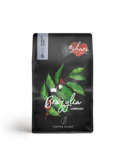 Coffee Plant Brazil Cerrado