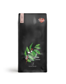 Coffee Plant Brazil Mogiana