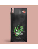 Coffee Plant Brazil Mogiana