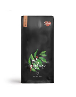 Coffee Plant Honduras Marcala