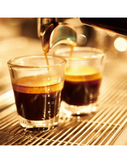 Hario Espresso Shot Glass 80 ml